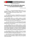 Vista preliminar de documento d7965b_RCE-41-2022.pdf