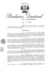 Vista preliminar de documento RD 213-2018.pdf