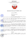 Vista preliminar de documento Resolucion Directoral