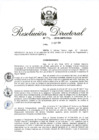 Vista preliminar de documento RD 196-2018.pdf