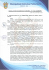 Vista preliminar de documento Resolución de Gerencia Municipal N° 0165-2022/MDPN