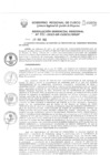 Vista preliminar de documento Resolución Gerencial de Gestión de Proyectos