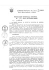 Vista preliminar de documento Resolución Gerencial de Gestión de Proyectos