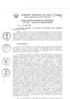 Vista preliminar de documento Resolución Gerencial de Gestión de Proyectos