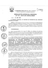 Vista preliminar de documento Resolución Gerencial de Gestión de Proyectos