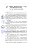 Vista preliminar de documento Resolución Gerencial de Gestión de Proyectos