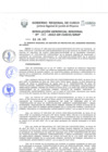 Vista preliminar de documento Resolución Gerencial de Gestión de Proyectos