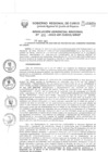 Vista preliminar de documento Resolución Gerencial de Gestión de Proyectos