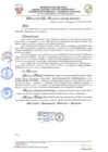 Vista preliminar de documento resolucion-alcaldiaN308.pdf