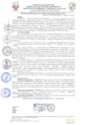 Vista preliminar de documento resolucion-alcaldiaN313.pdf