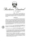 Vista preliminar de documento RD 145-2018.pdf