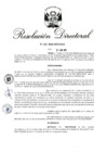 Vista preliminar de documento RD 132-2018.pdf