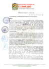 Vista preliminar de documento ORDENANZA 13.pdf