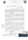 Vista preliminar de documento RGM0055-2009