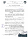 Vista preliminar de documento RGM0060-2009