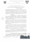 Vista preliminar de documento RGM0118-2009