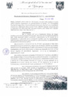 Vista preliminar de documento RGM0161-2009