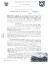 Vista preliminar de documento RGM0156-2009