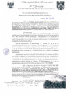 Vista preliminar de documento RGM0326-2009