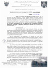 Vista preliminar de documento RGM0406-2009
