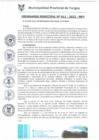 Vista preliminar de documento ORD0011-2022