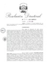 Vista preliminar de documento 102317 RD 279-2017-INPE21_Malque Arellanos Carloman y otro.pdf