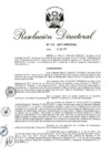 Vista preliminar de documento RD 276-2017.pdf
