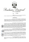 Vista preliminar de documento RD 065-2018.pdf