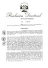 Vista preliminar de documento RD 198-2017.pdf