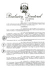 Vista preliminar de documento RD 196-2017.pdf