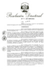 Vista preliminar de documento RD 195-2017.pdf