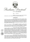 Vista preliminar de documento RD 191-2017.pdf
