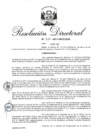Vista preliminar de documento RD 264-2017.pdf