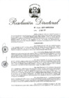 Vista preliminar de documento RD 263-2017.pdf
