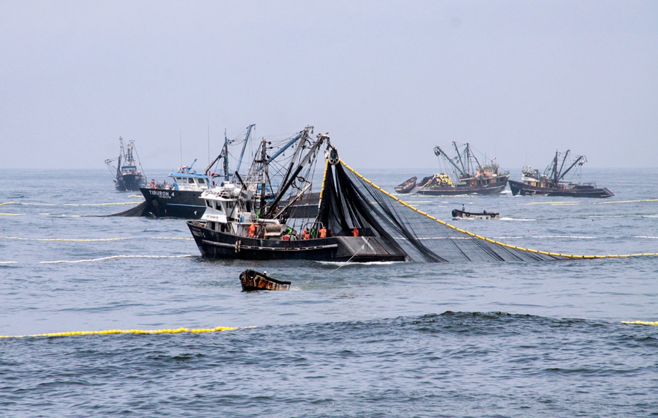 Imagen de embarcación de pesca de anchoveta