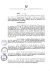 Vista preliminar de documento Resolución Directoral N° 00294-2016