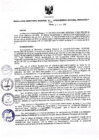 Vista preliminar de documento Resolución Directoral N° 00278-2016