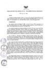Vista preliminar de documento Resolución Directoral N° 00234-2016