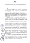 Vista preliminar de documento Resolución Directoral N° 00251-2016