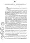 Vista preliminar de documento Resolución Directoral N° 00206-2016