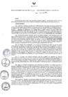 Vista preliminar de documento Resolución Directoral N° 00172-2016