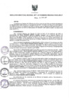 Vista preliminar de documento Resolución Directoral N° 00009-2017