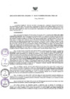 Vista preliminar de documento Resolución Directoral N° 00020-2017