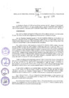 Vista preliminar de documento Resolución Directoral N° 00186-2018