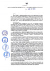 Vista preliminar de documento Resolución Directoral N° 00391-2019