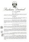 Vista preliminar de documento RD 258-2017.pdf