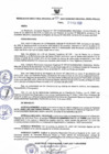 Vista preliminar de documento Resolución Directoral N° 00024-2020