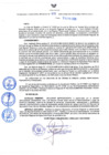 Vista preliminar de documento Resolución Directoral N° 00028-2020
