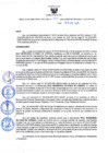 Vista preliminar de documento Resolución Directoral N° 00025-2020