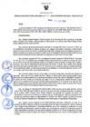 Vista preliminar de documento Resolución Directoral N° 00031-2020